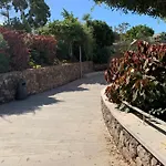 Elena אדחה